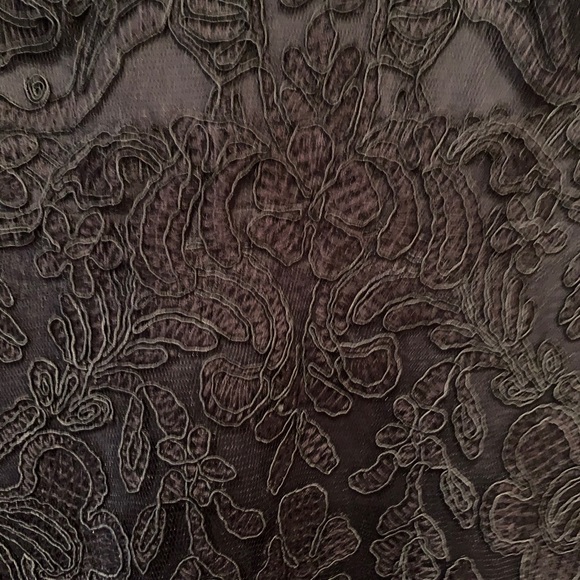 Tadashi Shoji Lace Fit and Flare Dress - Picture 4 of 9